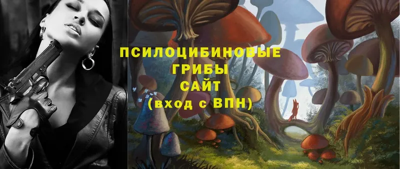 Галлюциногенные грибы Psilocybe  Саяногорск 